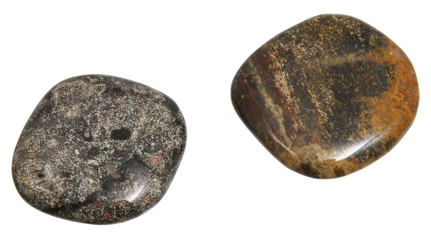 Silberlaubjaspis Scheibensteine