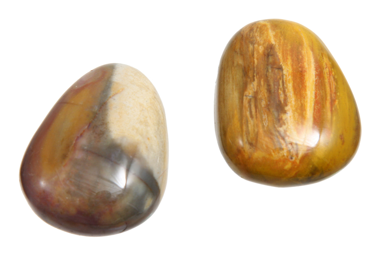 Versteinertes Holz Tropfen durchbohrt