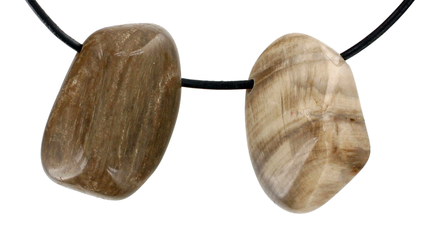 Versteinertes Holz Trommelstein durchbohrt