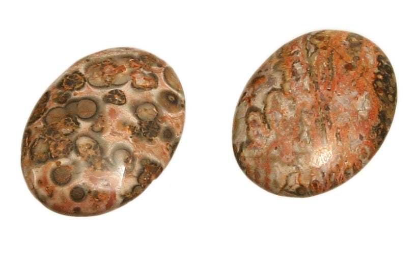 Leopardenstein (Rhyolith) Cabochon 22 x 30 mm