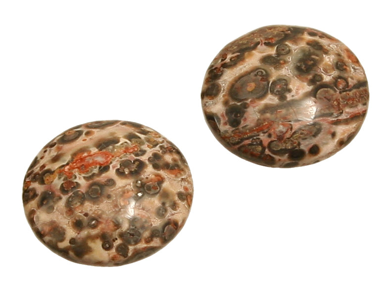 Leopardenstein (Rhyolith) Cabochon 25 mm