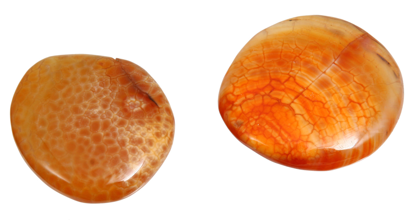 Schlangenhautachat beh.Scheibensteine