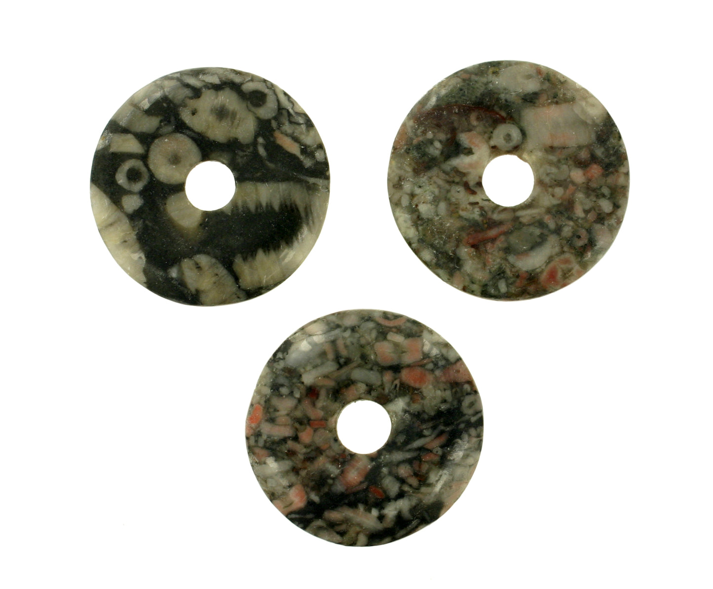 Turitella (Kalkstein) Donut 20 mm