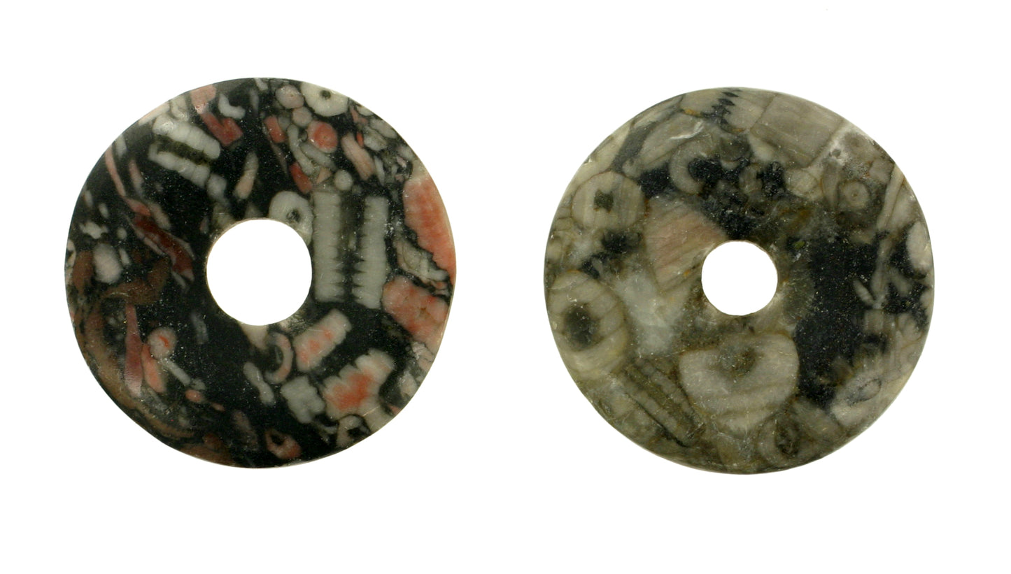 Turitella (Kalkstein) Donut 25 mm
