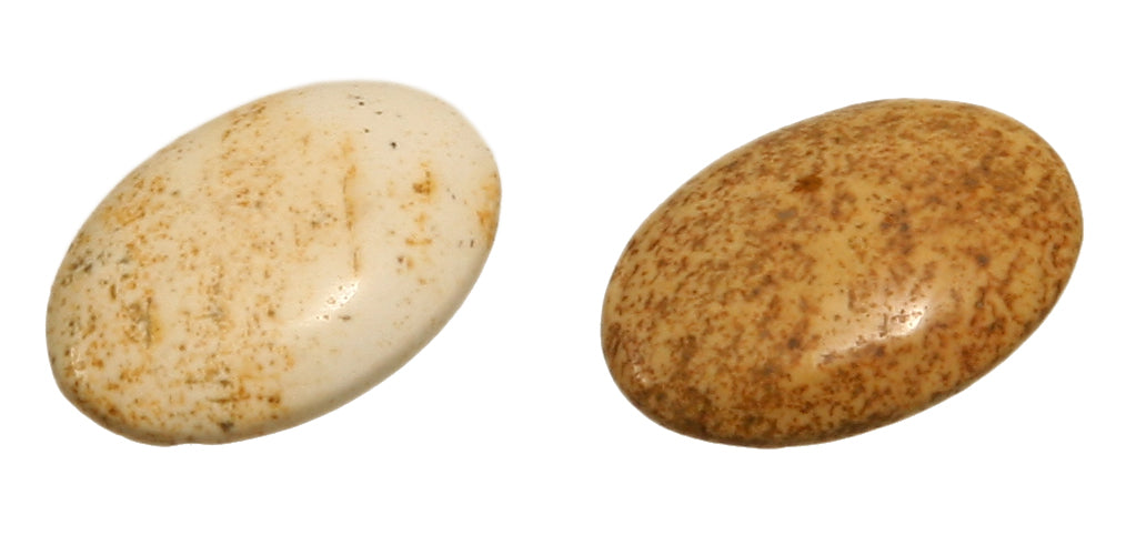 Landschaftsstein Cabochon 18 x 25 mm