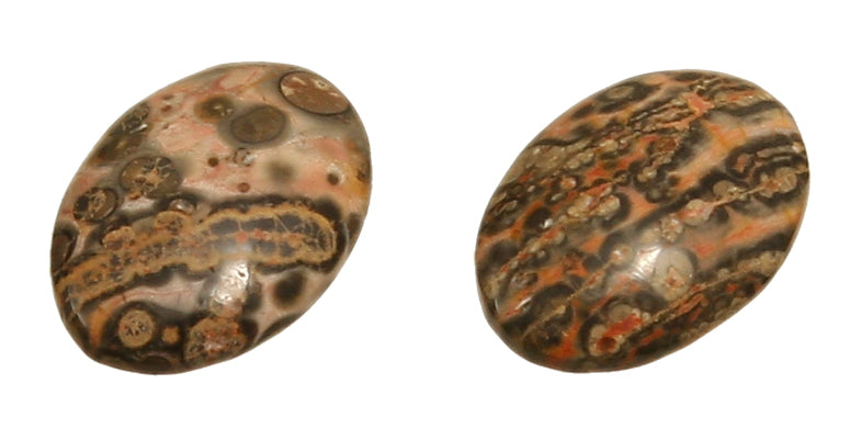 Leopardenstein (Rhyolith) Cabochon 18 x 25 mm