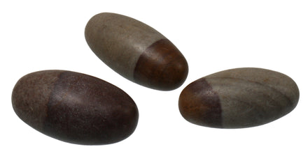 Lingam